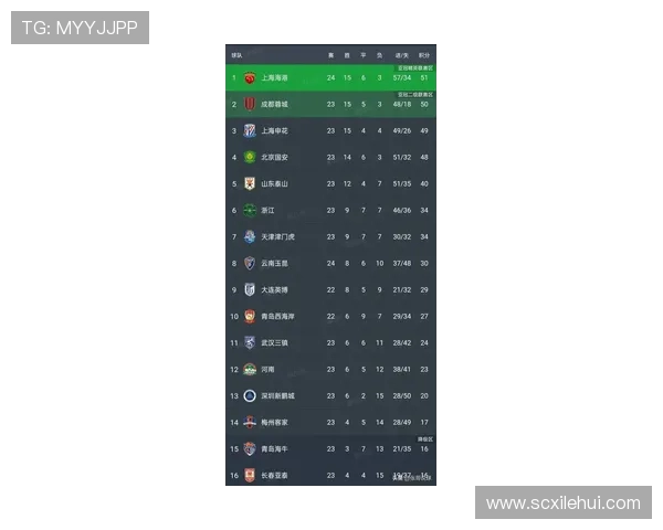 上海排球队再创佳绩最新排球速度排行榜前十名揭晓