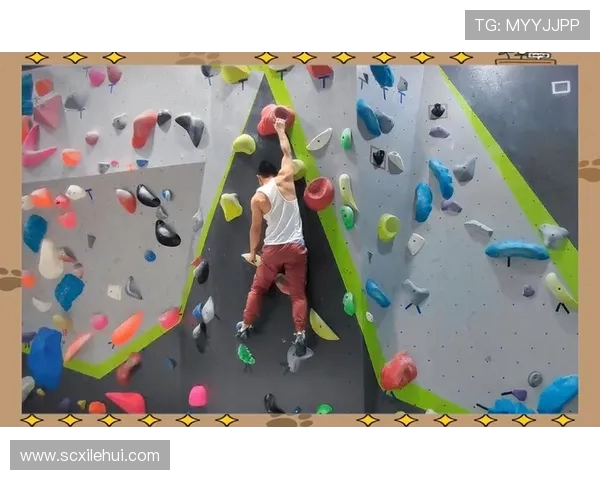 上海攀岩队心理素质提升显著创新高引发广泛关注与讨论 上海攀岩队心理素质提升显著创新高引发广泛关注与讨论