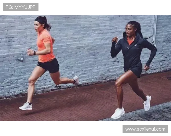 上海排球队耐力训练的秘密与挑战探讨