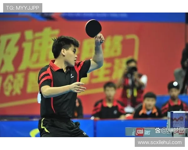 乒乓球的魅力与挑战：探讨上海乒乓球队的转型与发展之路