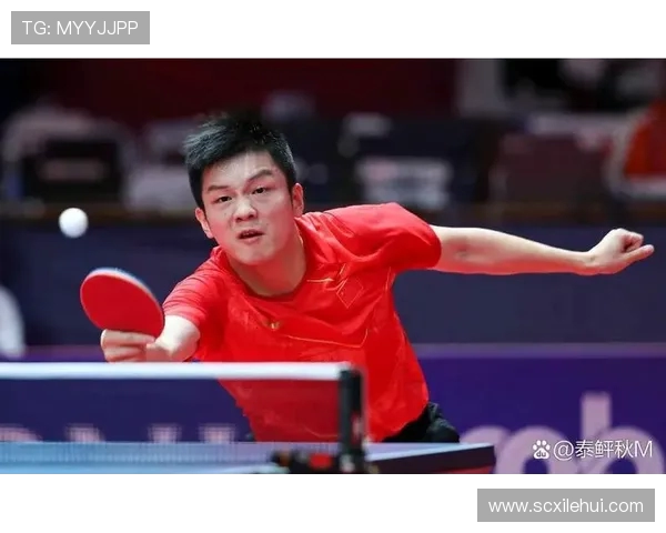 全国锦标赛回顾：上海乒乓球队个人能力的精彩展现与分析