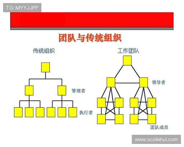 北京足球队进攻体系解析：战术创新与团队协作的完美结合