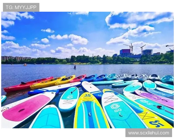 南京飞盘队创下新纪录耐力排名飞速提升引发广泛关注与热议