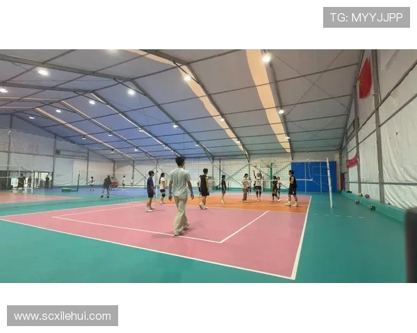 广州排球队意识变革引发热议推动排球运动新发展