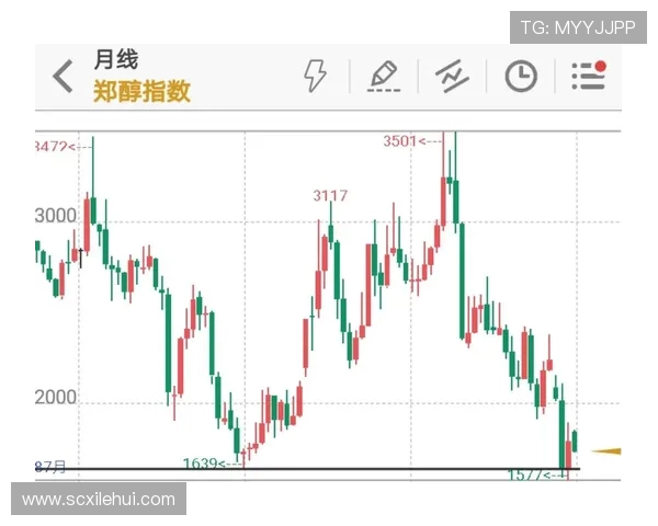 广州足球队与重庆足球队赛后技术分析与战术复盘探讨