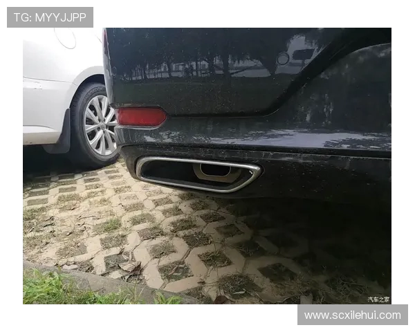 武汉攀岩队:个人能力提升与团队协作的完美结合探讨 武汉攀岩队:个人能力提升与团队协作的完美结合探讨