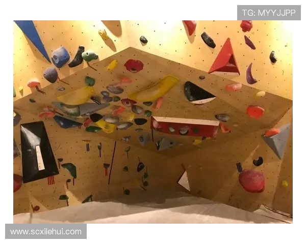 深圳攀岩队在马拉松大满贯中的技术表现分析与点评 深圳攀岩队在马拉松大满贯中的技术表现分析与点评