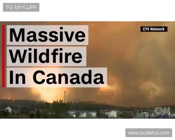 曼塔与麦国民的精彩对决结果揭晓引发热议与关注 曼塔与麦国民的精彩对决结果揭晓引发热议与关注