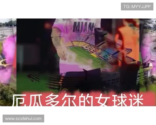 美国与厄瓜多尔友谊赛精彩对决球迷期待两队精彩表现