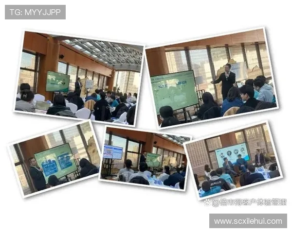 重庆羽毛球队的节奏与魅力探索:从训练到比赛的全景解析