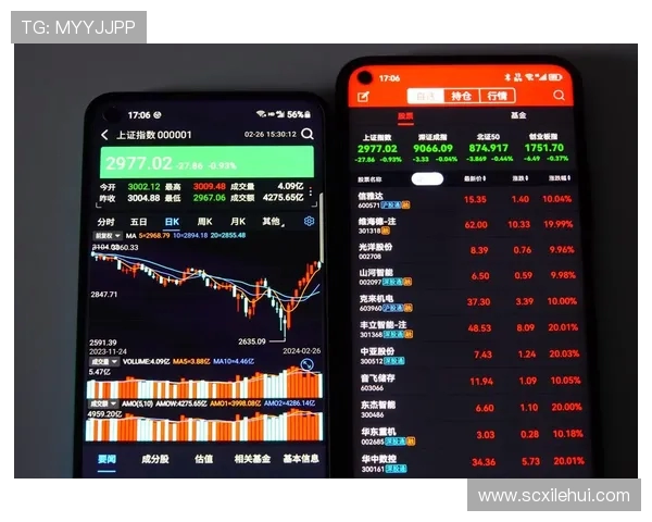 北京足球队战术解析与未来发展方向的深度探讨