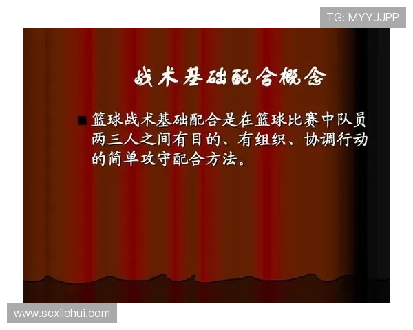 广州排球队快攻战术解析与实战应用研究