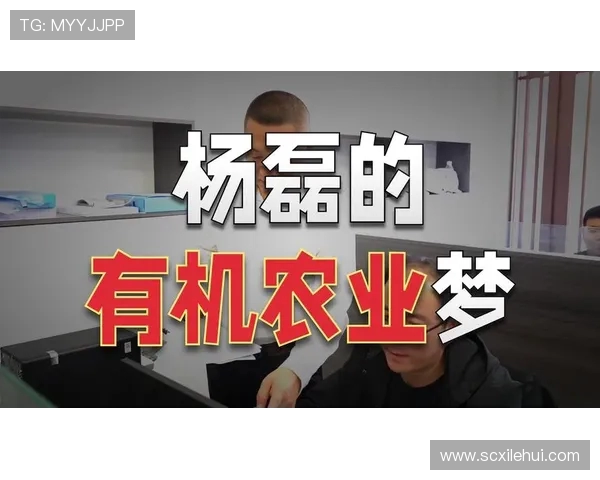 杨磊专访:从青涩少年到篮球明星的成长之路回顾 杨磊专访:从青涩少年到篮球明星的成长之路回顾