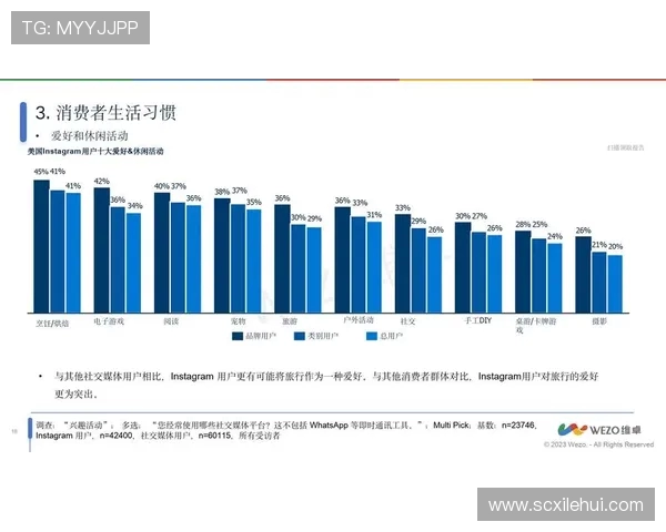 深入探讨Instagram数据分析背后的实力与表现解析