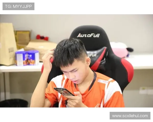 王者荣耀热议：WE战队意识争议引发玩家热烈讨论与反思