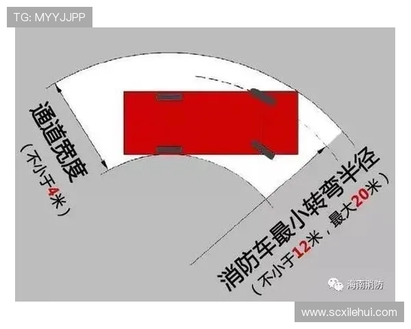 重庆飞盘队战术解析与实战应用的深度探讨与思考