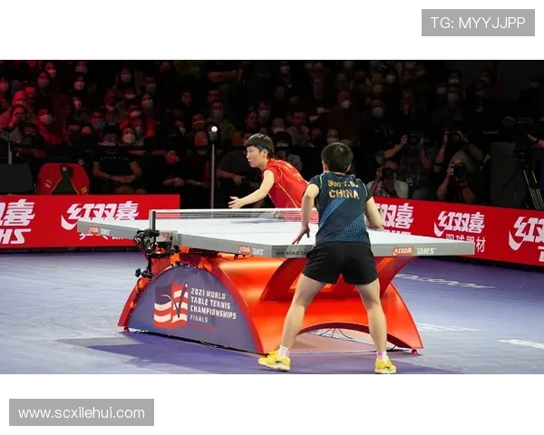 北京乒乓球队的蜕变与创新探索联合会杯的辉煌之路