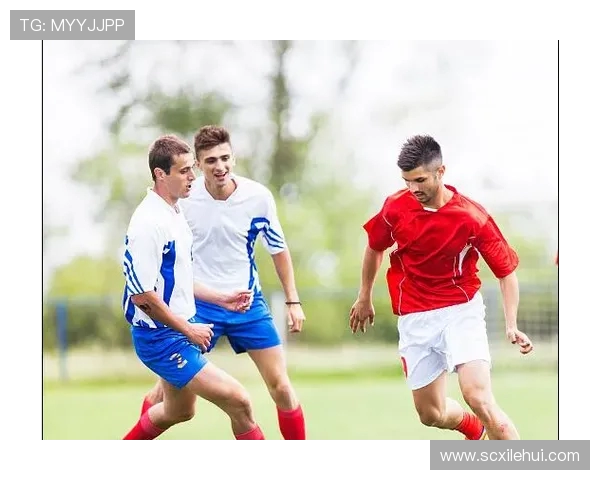 南京飞盘队防守策略分析与战术解读探讨