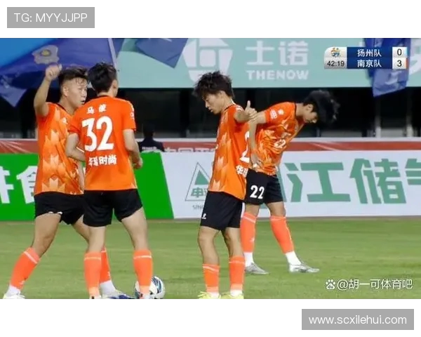南京足球队积分榜领跑66分展现强劲实力引发关注